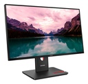 Lenovo ThinkVision T24-40 Monitor 3